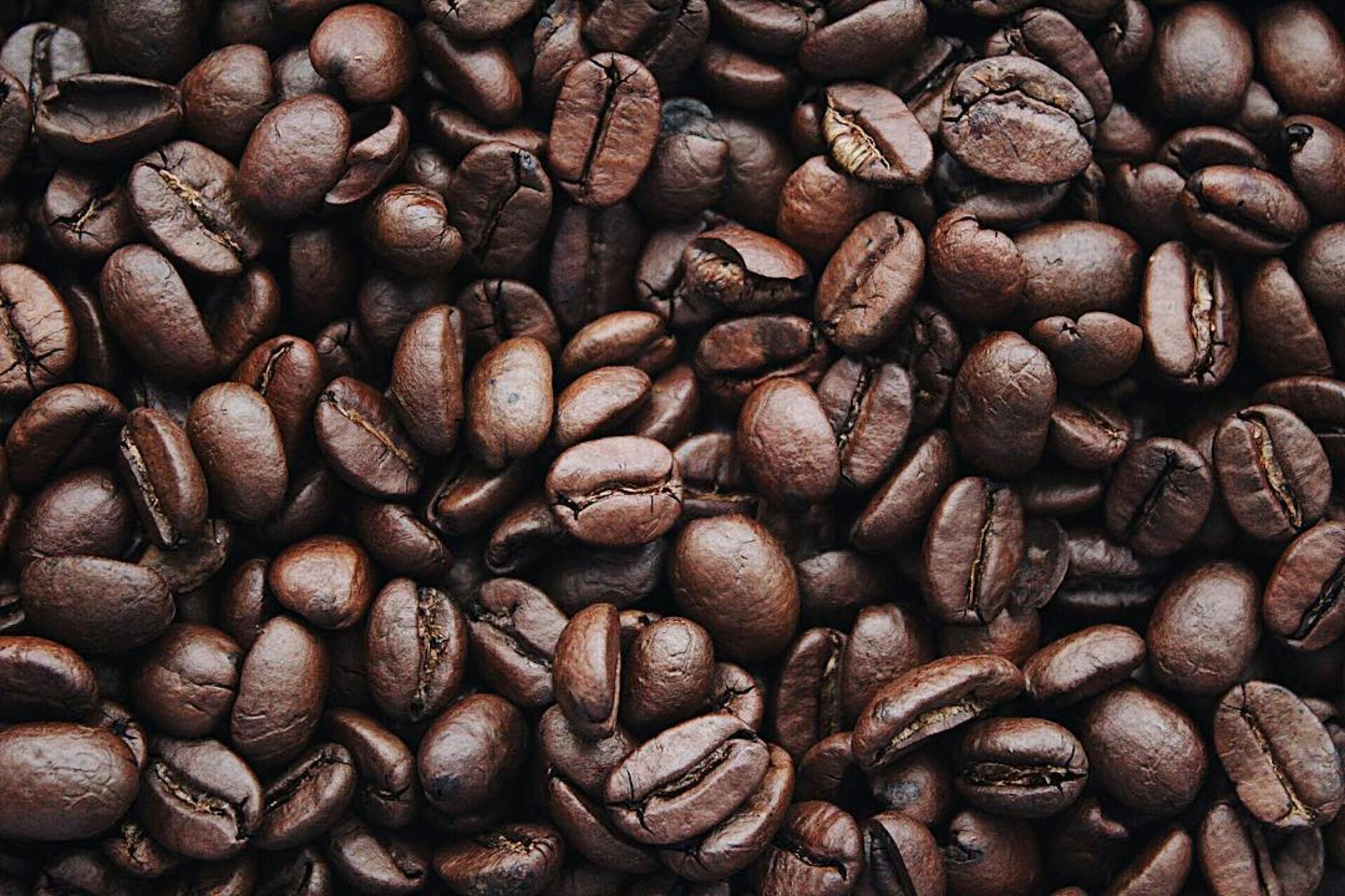 coffee beans. agricultural raw materials 