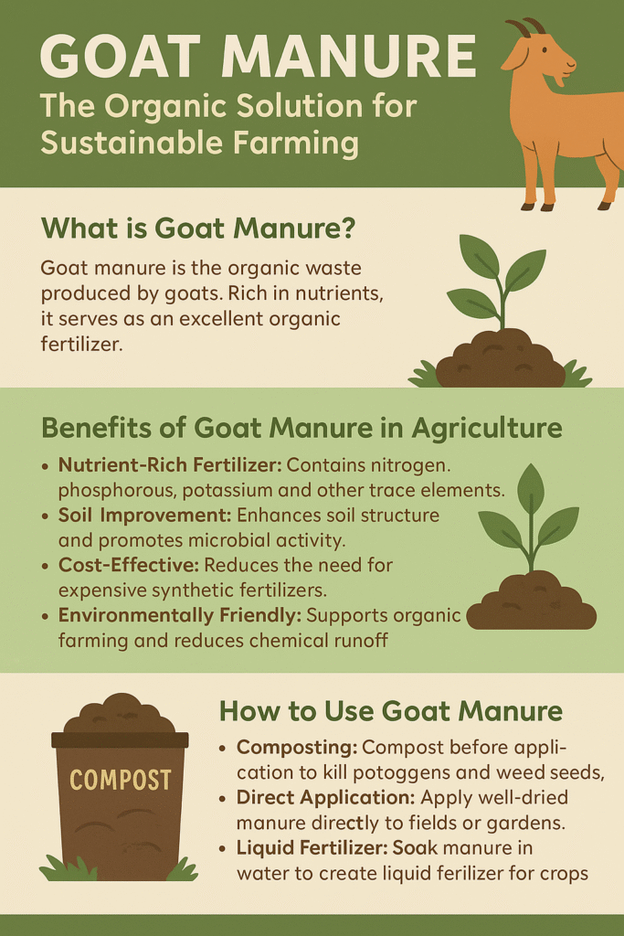 goat manure 