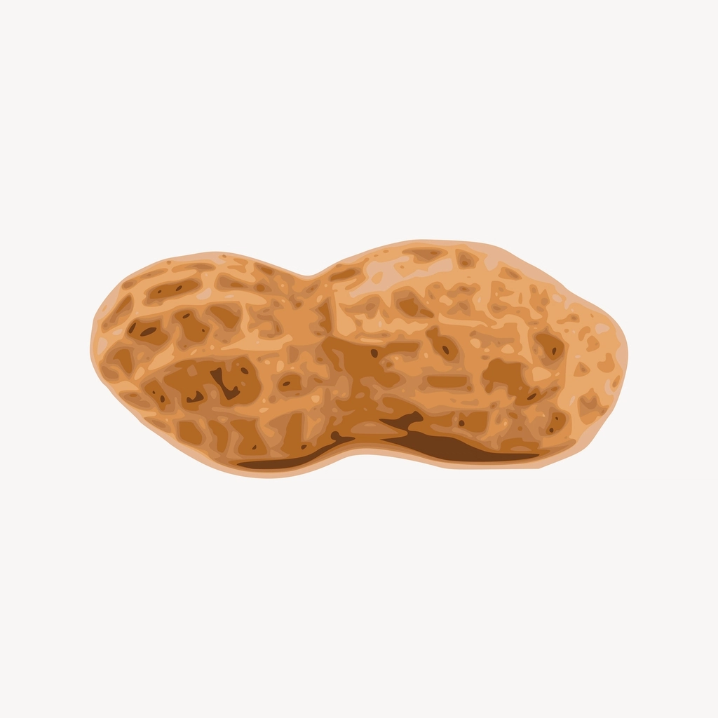 Peanut or groundnut