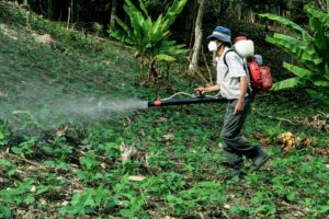 weed control 