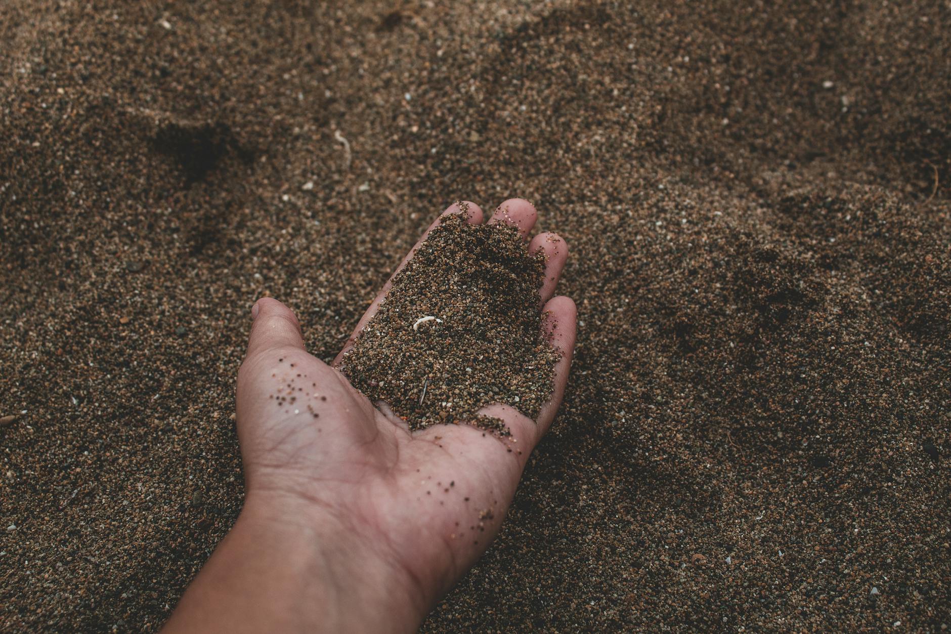close up photo of person holding sand
improve sandy soil 