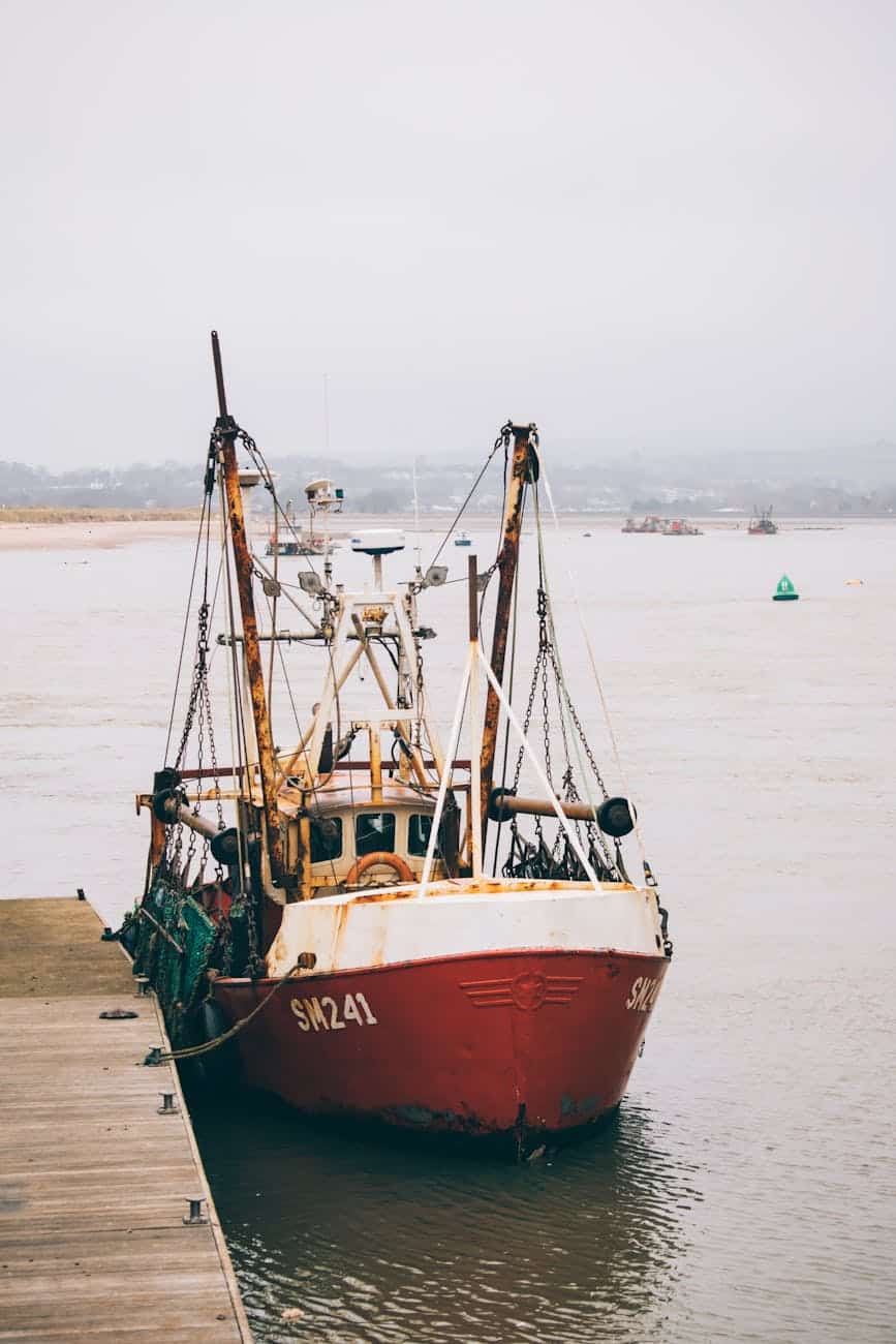 red and green boat on beach
fishing laws 