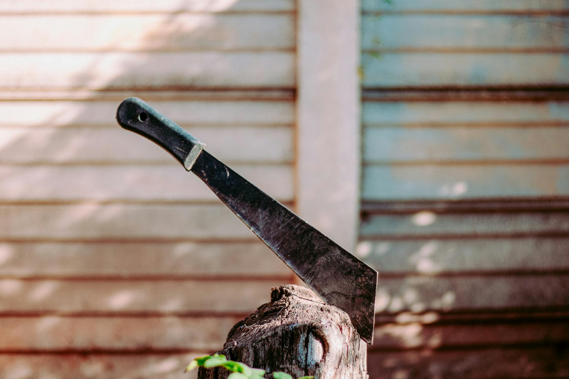 close up of a machete
a cutlass 